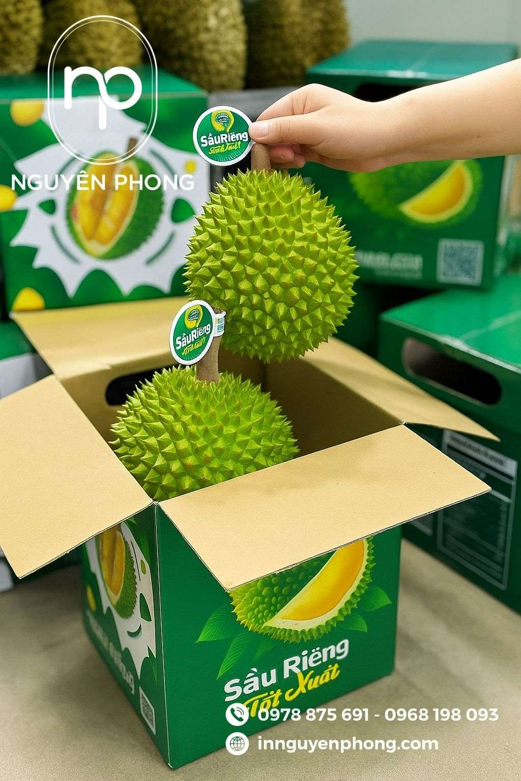 Thùng carton đựng sầu riêng thiết kế nổi bật